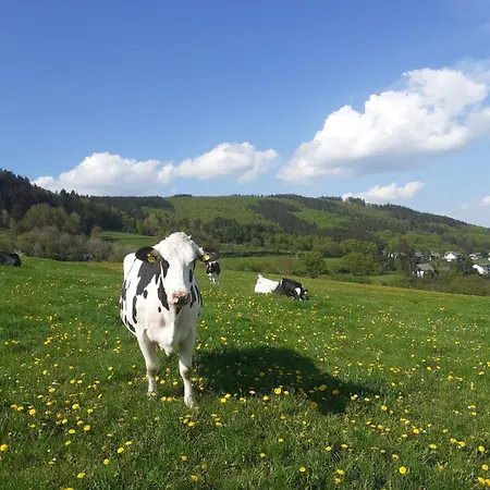 Sternenhimmel Whg 1 * Medebach