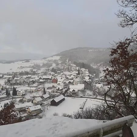 Sternenhimmel Whg 1 * Medebach