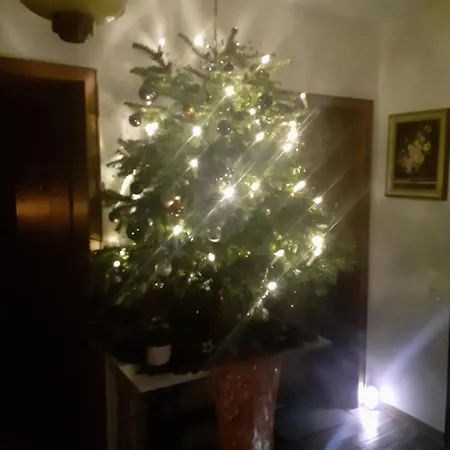 Sternenhimmel Whg 1 Apartamento