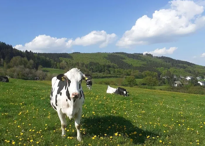 Sternenhimmel Whg 1 * Medebach