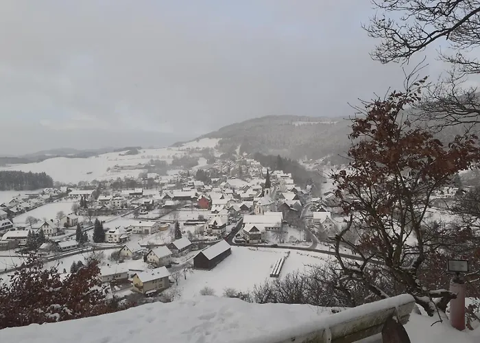 Sternenhimmel Whg 1 * Medebach