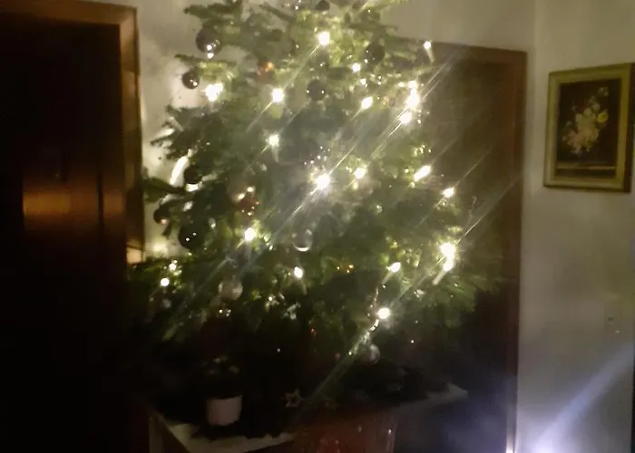 Sternenhimmel Whg 1 Apartment